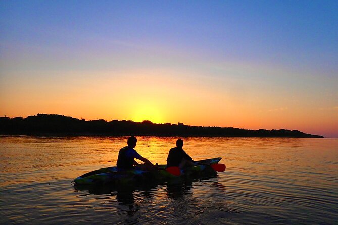 [Okinawa Iriomote] Sunrise SUP/Canoe Tour in Iriomote Island - Key Points