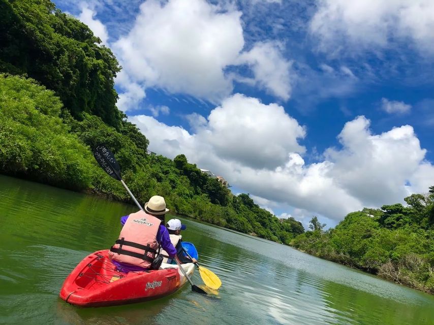 Okinawa: Mangrove Kayaking Tour - Key Points