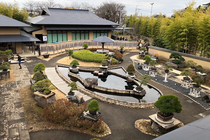 Omiya Bonsai Private Tour - Key Points