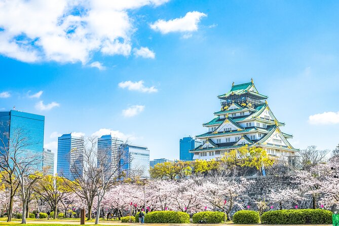 Osaka Highlight Private Tour: Osaka Castle, Dotonbori, Namba Etc. - Key Points