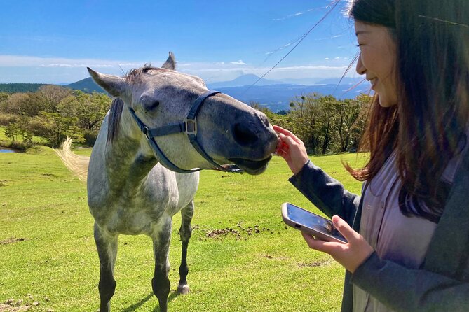 Pasture Hike With Horse Whisperer at Horse Trust in Kagoshima - Key Points