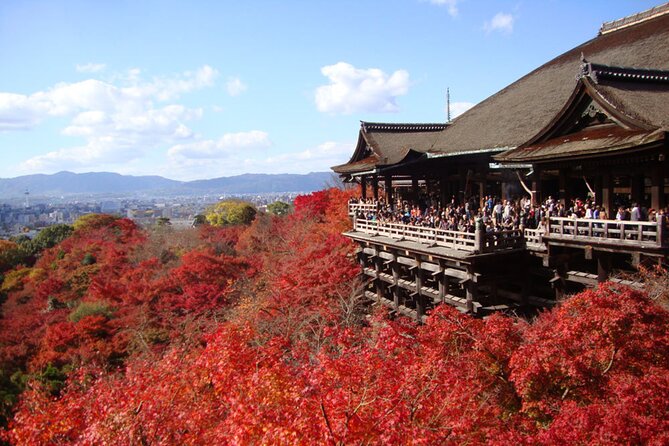 PERFECT KYOTO 1Day Bus Tour - Key Points