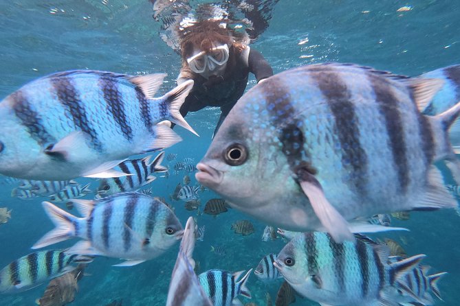 Popular Blue Cave Snorkel! [Okinawa Prefecture] Feeding & Photo Image Free! English, Chinese Guide Available! - Key Points