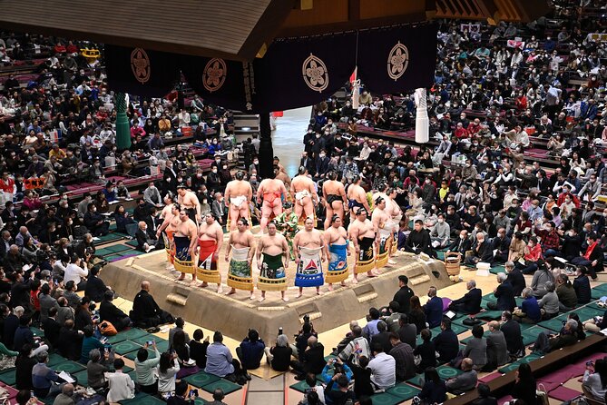 Premium Seat in Grand Sumo Tournament in Tokyo - Key Points