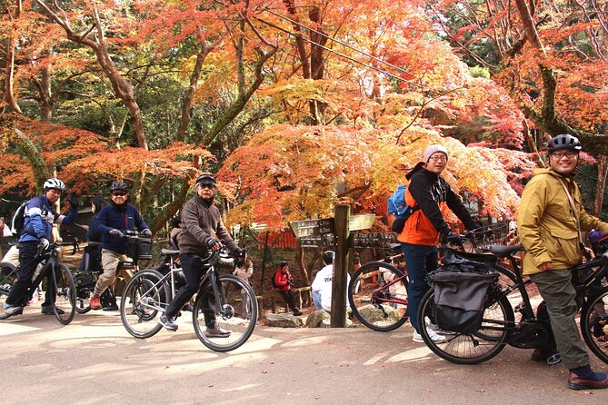 Private Bike Tour in Nara With Japanese Guide - Key Points