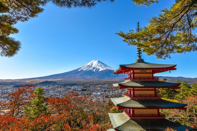 Private Customizable Tour in Mount Fuji - Key Points