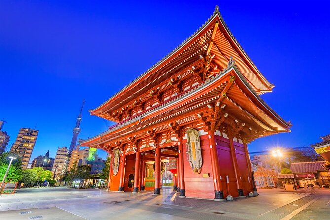 Private Customizable Tour in Tokyo - Key Points