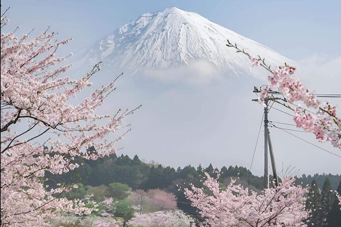 Private Day Tour in Mount Fuji From Tokyo - Key Points