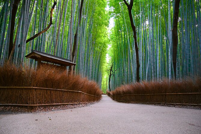 Private Day Tour - Kyoto Arashiyama & Bamboo Forest Perfect Tour! - Key Points