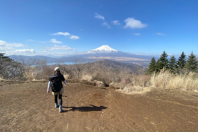 Private Hiking Tour to View Mt. Fuji - Key Points