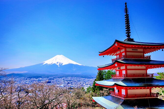 Private Mount Fuji and Hakone Tour With English Guide - Key Points