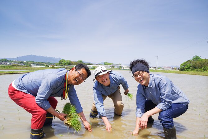 Private Rice Agriculture Experience in Mie - Key Points