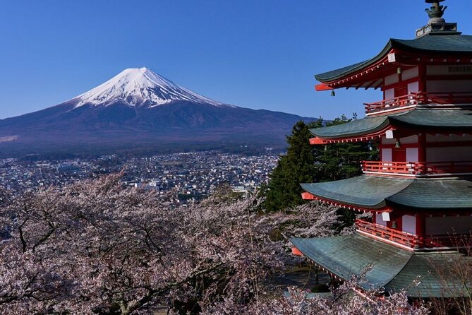 Private Tour to Mount Fuji With an English Driver From Tokyo - Key Points