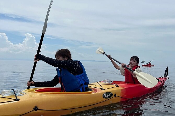 River to Sea Mutsu Bay Kayak Experience - Key Points