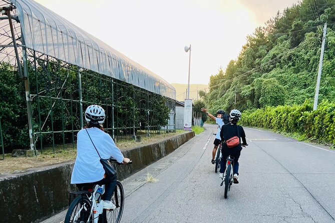 Sakurajima Morning Hill Climb by E-Bike - Key Points