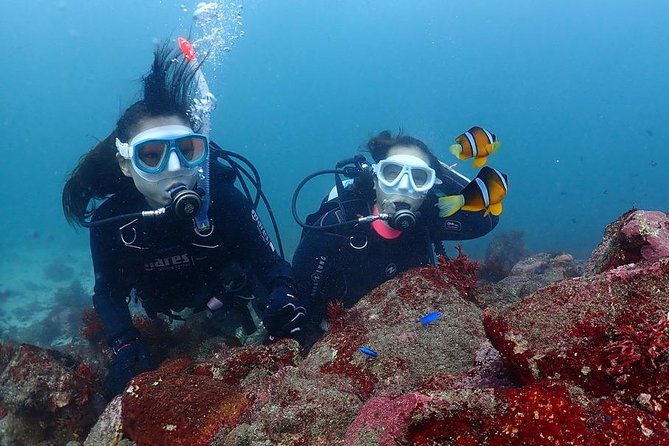 Scuba Diving & Snorkeling - Key Points