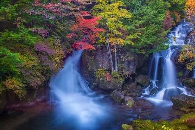 Shared Full Day Tour Visit to Nikko Toshugo From Tokyo - Key Points