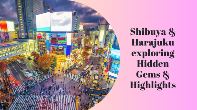 Shibuya & Harajuku Exploring Hidden Gems & Highlights Tour