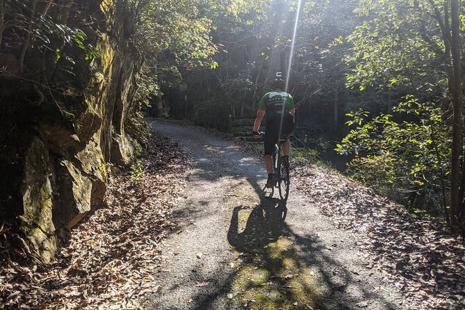 Shikoku 88 Temple Pilgrimage by E- Bike Tour - Key Points