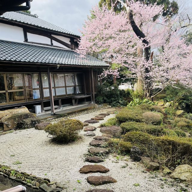 Silence Retreat at a Temple With English Speaking Monk - Key Takeaways