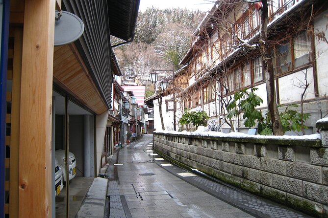 Snow Monkey & Shibu Onsen Afternoon Tour From Iiyama or Nozawa - Meeting Points