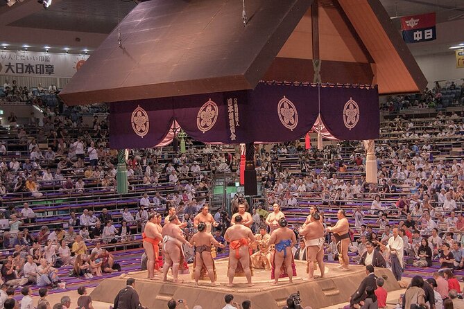 Sumo Tournament Experience in Nagoya 2024 - Key Points