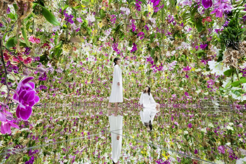 Teamlab Planets TOKYO: Digital Art Museum Entrance Ticket - Key Points