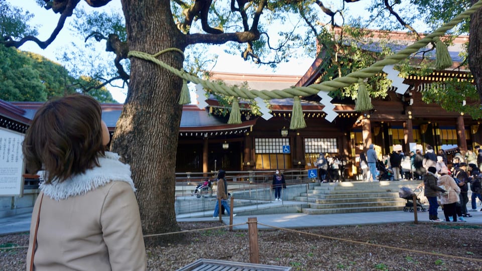 Tokyo Harajuku Meiji Shrine 1h Walking Explanation Tour - Key Takeaways