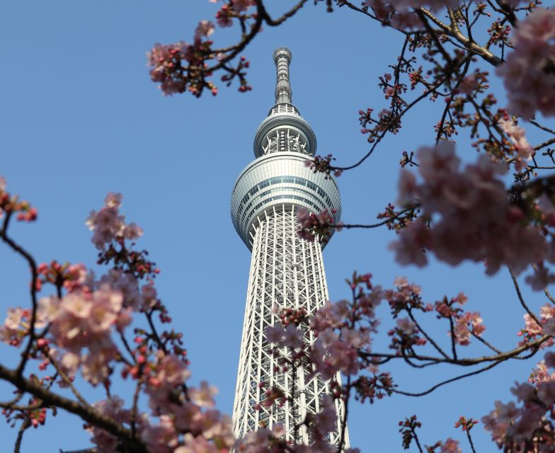 Tokyo Skytree: Admission Ticket and Private Hotel Pickup - Key Takeaways