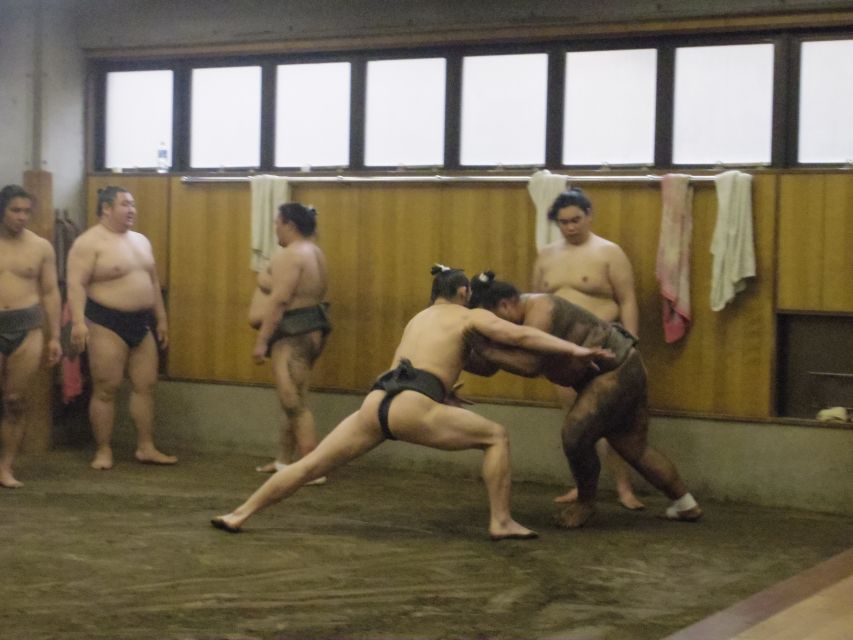 Tokyo: Sumo Morning Practice Viewing Tour - Key Points