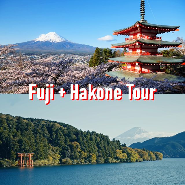 Tokyo to Mount Fuji and Hakone: Private Full-Day Tour - Good To Know
