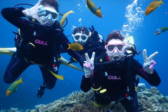 Trial Boat Dive 2 DIves at Minna or Sesoko, Okinawa - Key Points