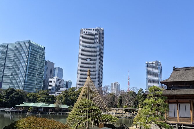 Tsukiji & Hamarikyu Gardens Wellness Tour – Walk, Relax & Lunch - Key Points