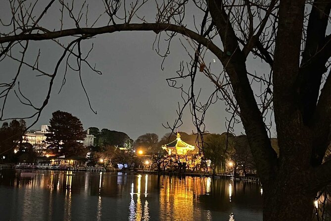 Ueno Private Walking Tour and Night Food Tour - Tour Details