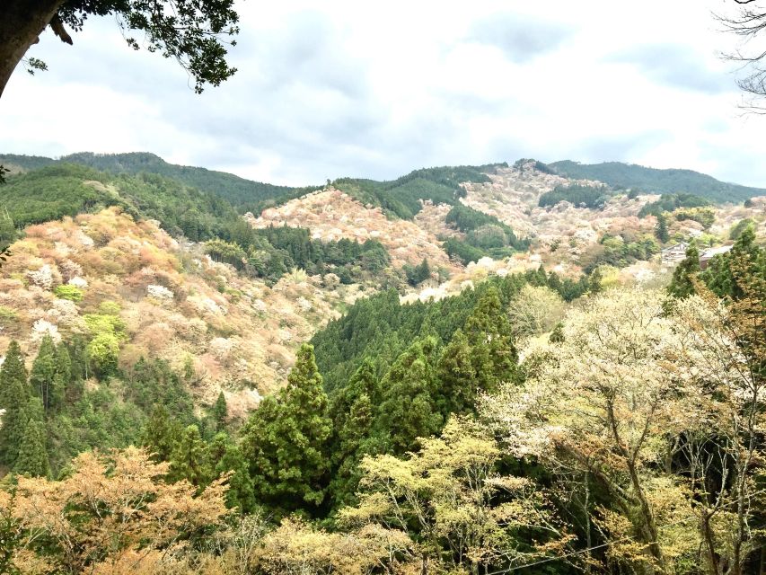 Yoshino: Private Guided Tour & Hiking in a Japanese Mountain - Good To Know